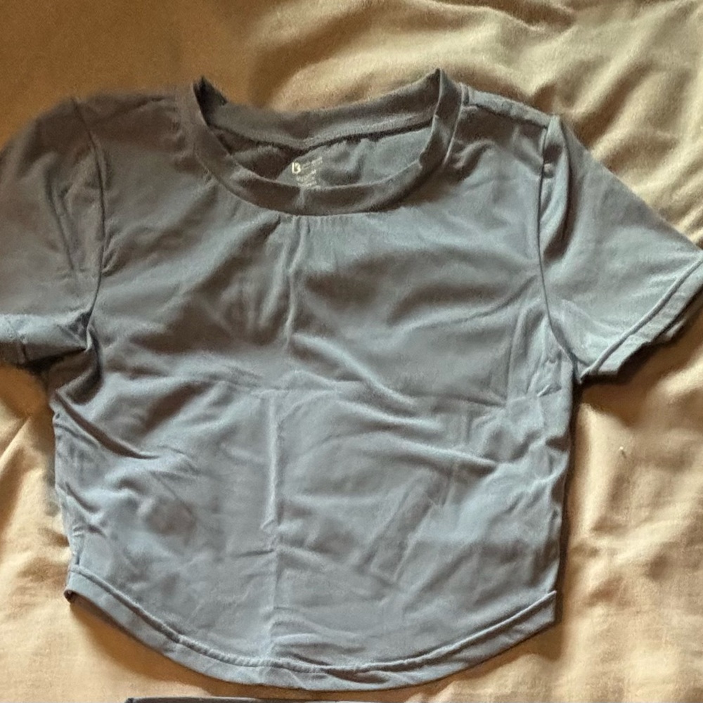 BuffBunny Gray Crop T-Shirt Short Sleeve Fitted